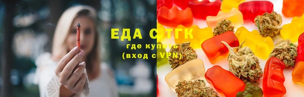 прущие грибы Корсаков