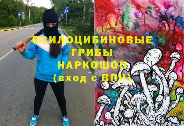 прущие грибы Корсаков
