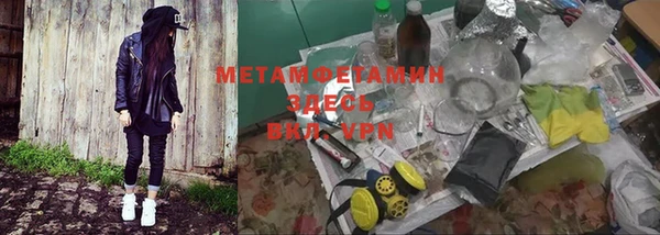 прущие грибы Корсаков