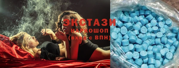 прущие грибы Корсаков