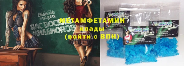 прущие грибы Корсаков