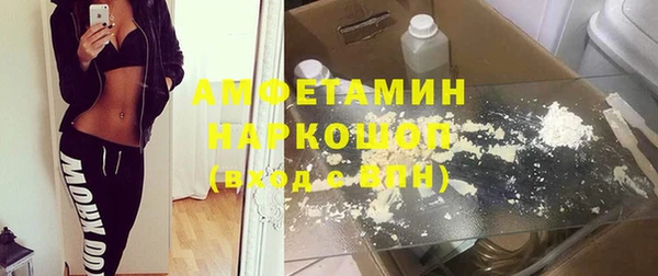 прущие грибы Корсаков