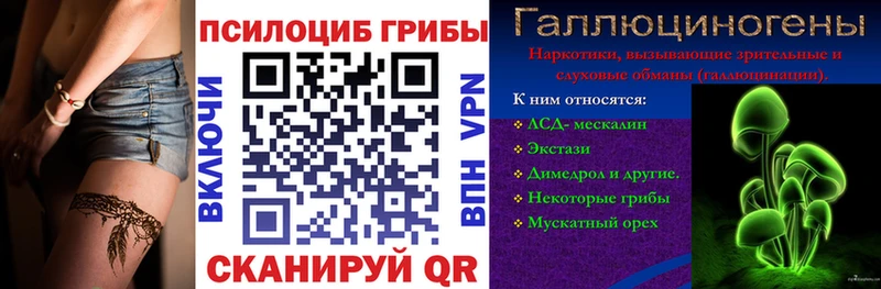 Купить  Вязники  Псилоцибиновые грибы Cubensis 